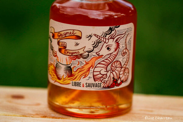 Oxymel des Dragons – Image 2