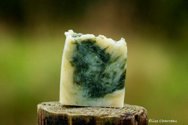 Savon Esprit de la Forêt – Image 2
