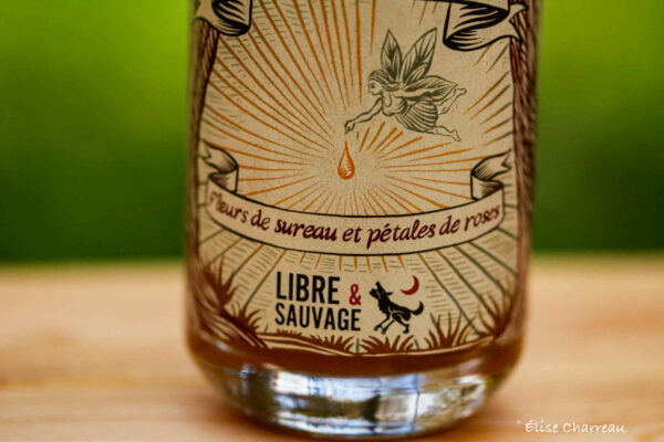 Oxymel des Fées – Image 2