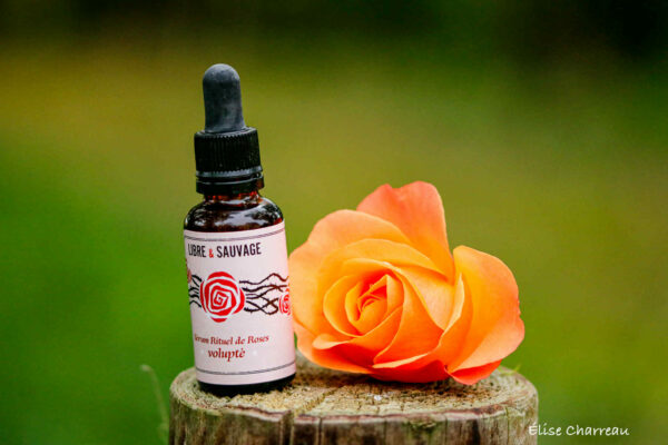 Sérum régénérant Rituel de roses – Image 3