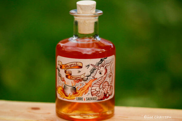 Oxymel des Dragons