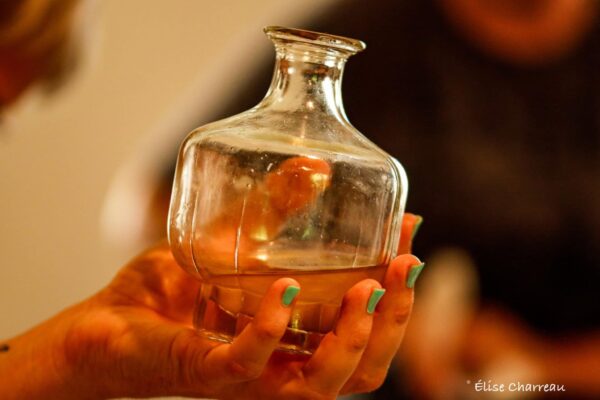 ★ Stage Femme Médecine - Sagesse des Plantes - Libération émotionnelle ★ – Image 30