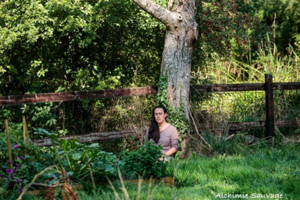 ★ Stage Femme Médecine - Sagesse des Plantes - Libération émotionnelle ★ – Image 48