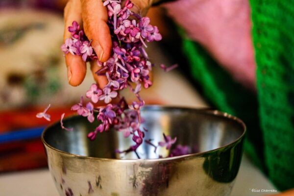 ★ Stage Femme Médecine - Sagesse des Plantes - Libération émotionnelle ★ – Image 42