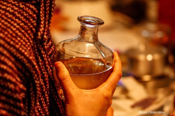 ★ Stage Femme Médecine - Sagesse des Plantes - Libération émotionnelle ★ – Image 33