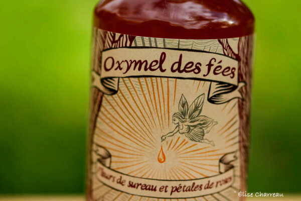 Oxymel des Fées – Image 4