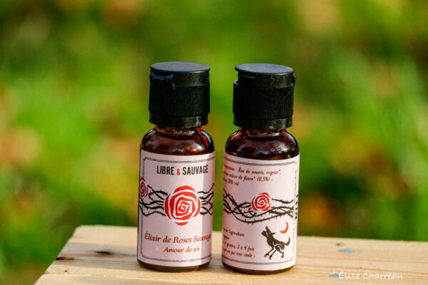 Elixir de roses sauvages – Image 2