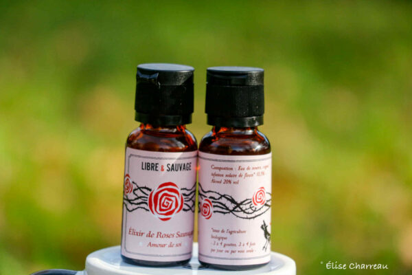 Elixir de roses sauvages